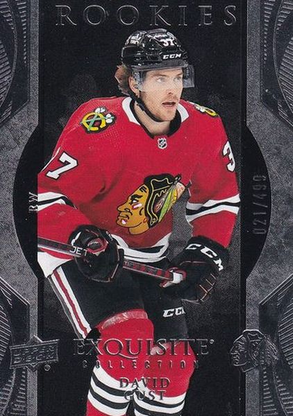 insert RC karta DAVID GUST 23-24 UD Ice Exquisite Rookies /499